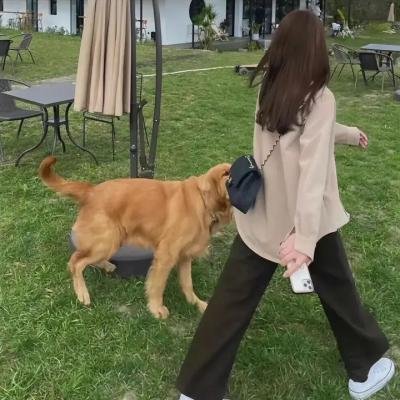 大小不良