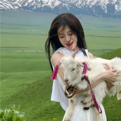 我们的英摇时光